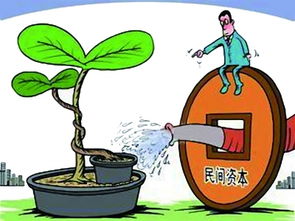 社會(huì)資本給力文化產(chǎn)業(yè)與社會(huì)經(jīng)濟(jì)咨詢服務(wù)